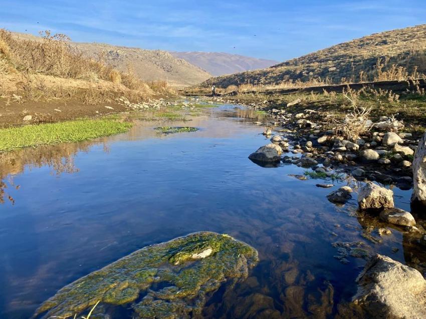Ağrı'nın Patnos ilçesi de nasibini aldı: Görenler şaşkına dönüyor