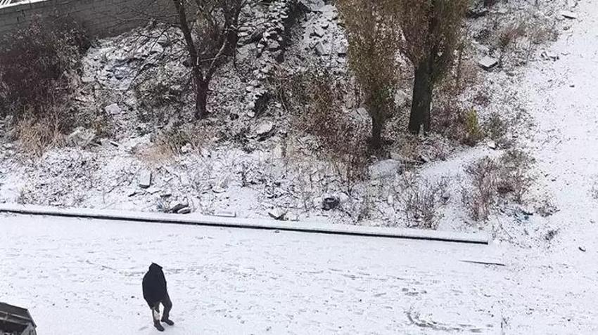 Mevsimin ilk karı düştü: Kars kent merkezi beyaza büründü