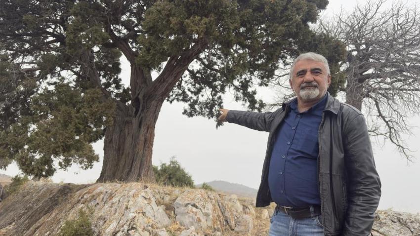 Tokat'ta köylü çağrı yaptı jandarma devriye atıyor! 508 yıl önce ekildi