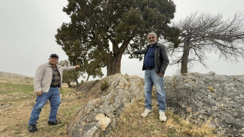 Tokat'ta köylü çağrı yaptı jandarma devriye atıyor! 508 yıl önce ekildi
