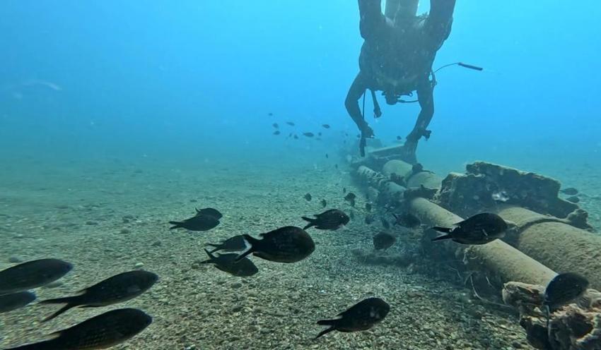 Antalya'da deniz dibinde fark etti: 4 yeni tür ortaya çıkardı! 'Suya girdiğim an gördüm'