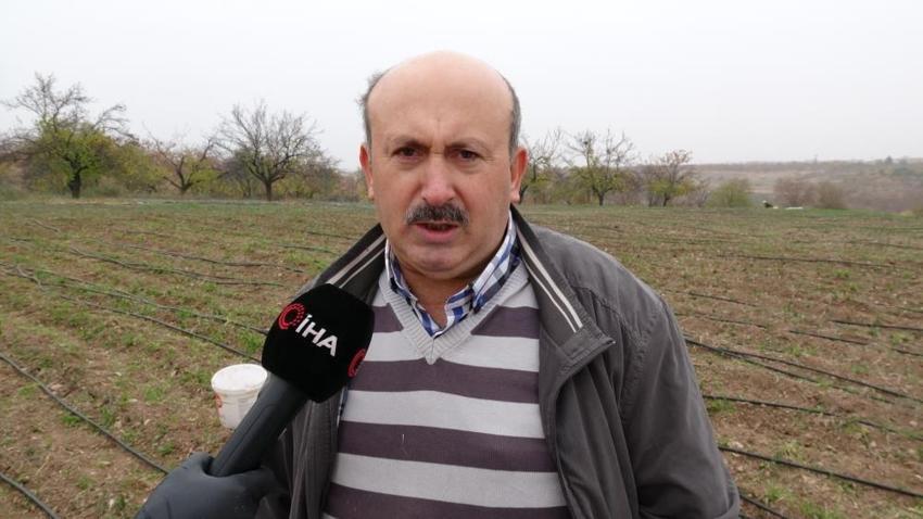 Malatya'da denemek için 30 kilo ekti! Tarladan çıkarmadan satıyor: 4 yılda servet kazandı