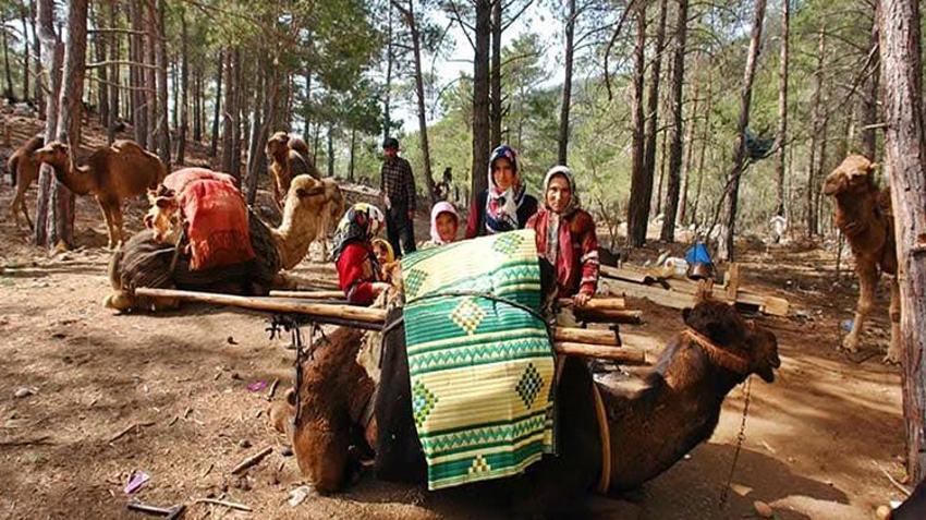 Son konargöçerlerin Akdeniz serüveni! Mersin'de 200 aile hala geleneklerini yaşatıyor: Kış yurdu Aydıncık'ta hazırlıklar başladı!