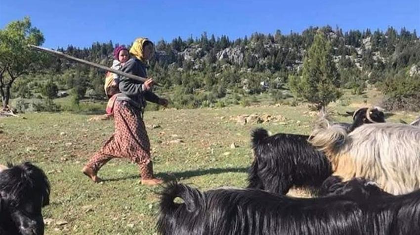 Son konargöçerlerin Akdeniz serüveni! Mersin'de 200 aile hala geleneklerini yaşatıyor: Kış yurdu Aydıncık'ta hazırlıklar başladı!