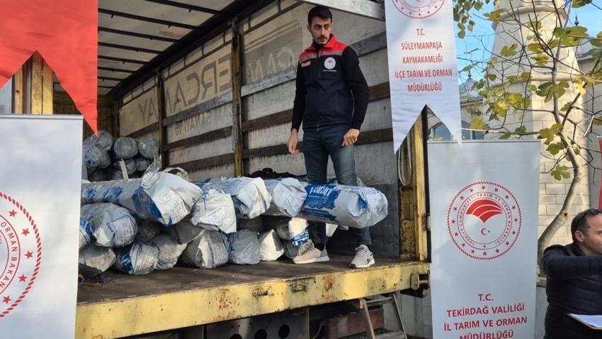 Tekirdağ'da sera üretimine dev destek: 52 üreticiye verildi