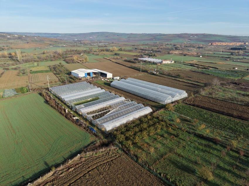 Tekirdağ'da sera üretimine dev destek: 52 üreticiye verildi