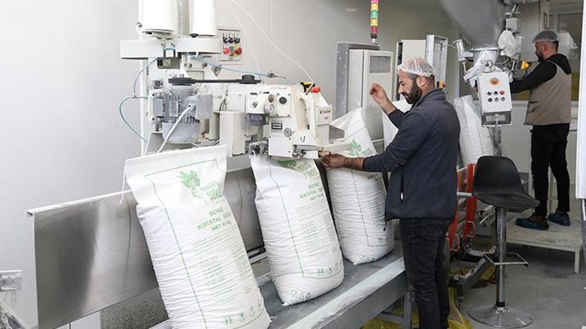 Çiftçiler yeni ürüne yöneldi! Muş ve Van'da üreticinin kazancı katlandı! Hedef 76 bin ton