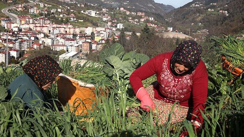 Trabzonsporlu kadınların zorlu maç günü mesaisi! Otlar biçildi, hayvanlar beslendi, yemek yapıldı: Sırada maç keyfi var