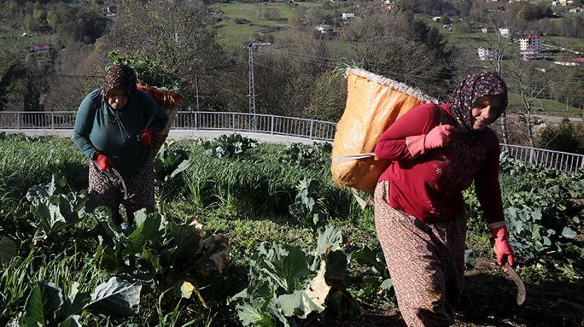 Trabzonsporlu kadınların zorlu maç günü mesaisi! Otlar biçildi, hayvanlar beslendi, yemek yapıldı: Sırada maç keyfi var