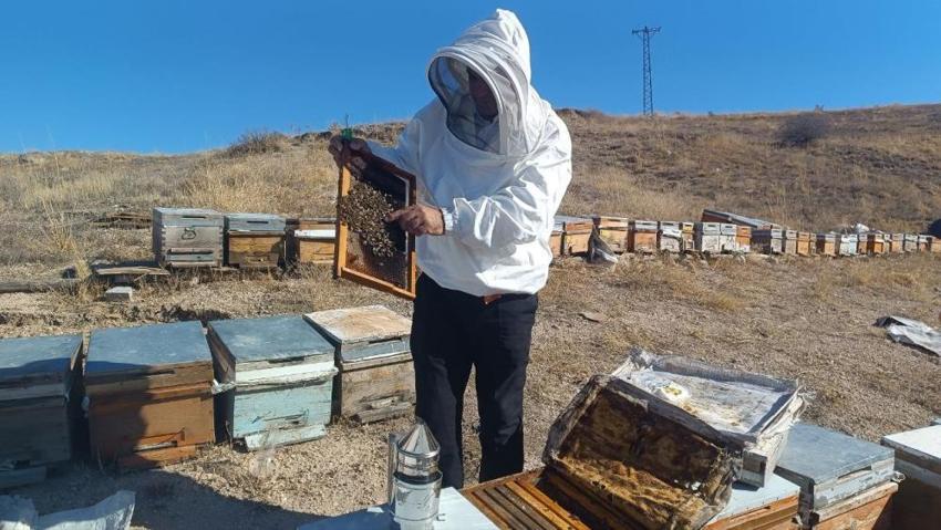 Adıyaman'da üretim sezonu bitti, bu yıl 650 ton üretildi! Üreticilerden çok önemli uyarı: 'Zehre dönüşür'