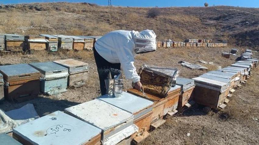 Adıyaman'da üretim sezonu bitti, bu yıl 650 ton üretildi! Üreticilerden çok önemli uyarı: 'Zehre dönüşür'