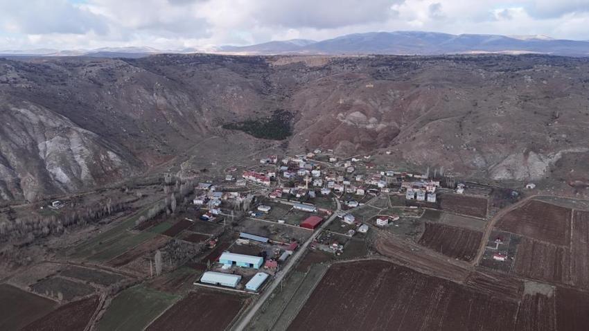 Sivas'ın en değersiz tarlasında fark etti: İki arkadaş 3 bin tane buldu! Her birine farklı isim verildi