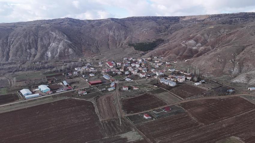 Sivas'ın en değersiz tarlasında fark etti: İki arkadaş 3 bin tane buldu! Her birine farklı isim verildi