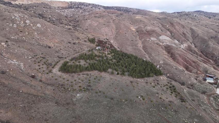Sivas'ın en değersiz tarlasında fark etti: İki arkadaş 3 bin tane buldu! Her birine farklı isim verildi