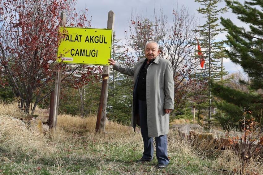 Sivas'ın en değersiz tarlasında fark etti: İki arkadaş 3 bin tane buldu! Her birine farklı isim verildi