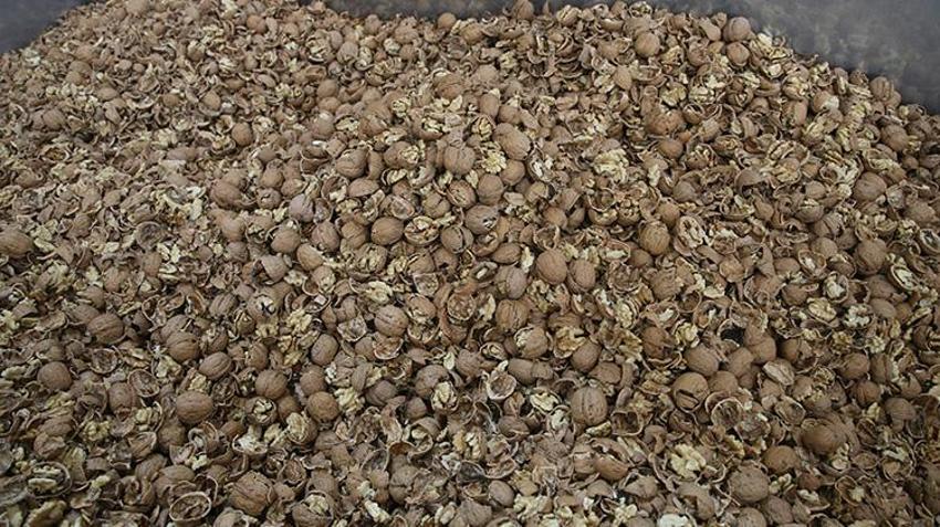 Tokatlı girişimci devlet desteğiyle tesisini kurdu! Şimdi 20 ile ürün satıyor