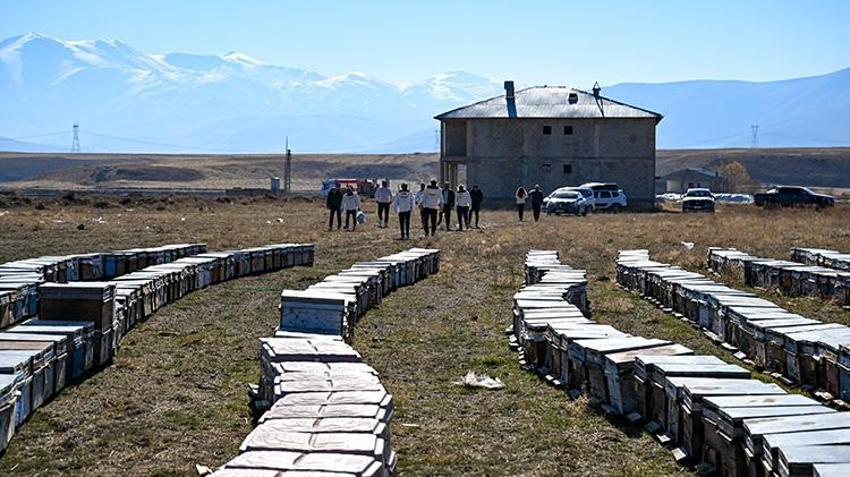 Van'da 2 bin rakımda üretilen bal'a Azerbaycan'dan lezzet ödülü! 100'den farklı çeşidin arasından seçildi: Hedef 2 bin 500 ton çiçek üretmek