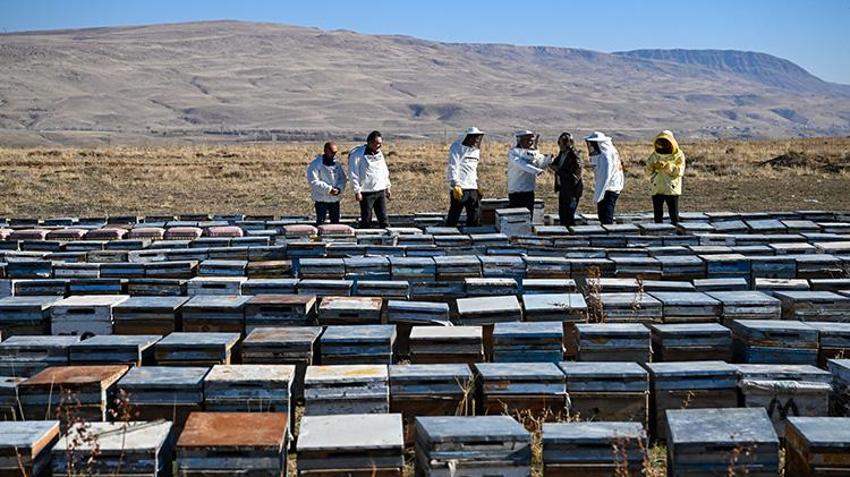 Van'da 2 bin rakımda üretilen bal'a Azerbaycan'dan lezzet ödülü! 100'den farklı çeşidin arasından seçildi: Hedef 2 bin 500 ton çiçek üretmek