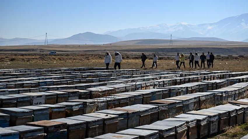Van'da 2 bin rakımda üretilen bal'a Azerbaycan'dan lezzet ödülü! 100'den farklı çeşidin arasından seçildi: Hedef 2 bin 500 ton çiçek üretmek
