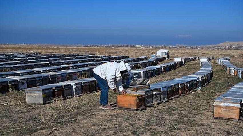 Van'da 2 bin rakımda üretilen bal'a Azerbaycan'dan lezzet ödülü! 100'den farklı çeşidin arasından seçildi: Hedef 2 bin 500 ton çiçek üretmek