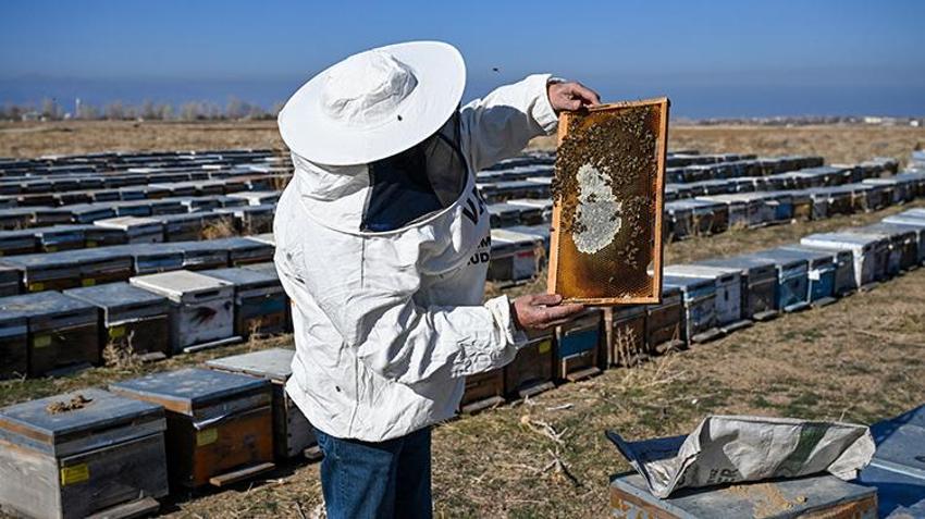 Van'da 2 bin rakımda üretilen bal'a Azerbaycan'dan lezzet ödülü! 100'den farklı çeşidin arasından seçildi: Hedef 2 bin 500 ton çiçek üretmek