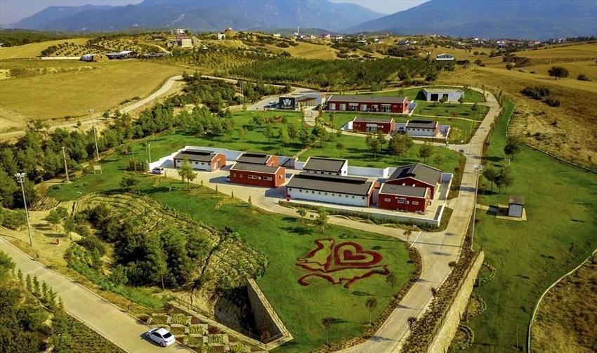 Denizli'de 3 ilçe birleşip karar aldı: 32 dönüm araziye kurulacak! Aşama aşama geliyor