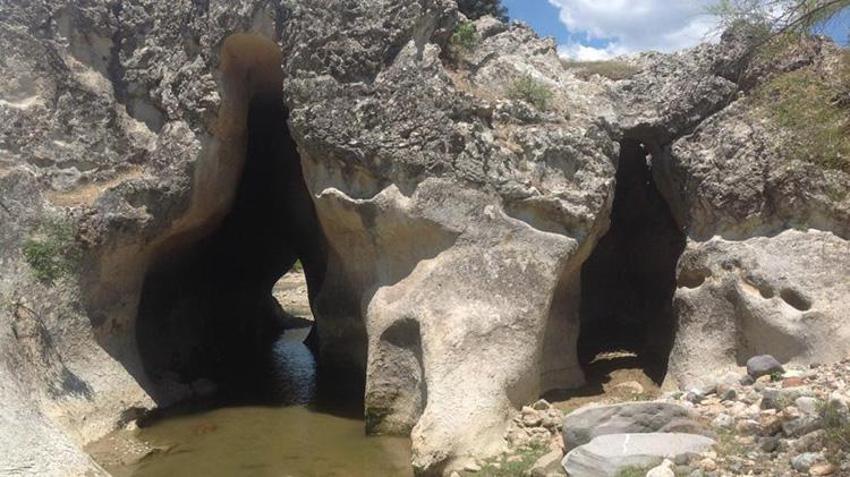 Manisa'daki 2 bin yıllık kaya mezarları güzergâhındaki doğa anıtı görmezden geliniyor! 'Acilen yürüyüş rotasına dönüşmeli'