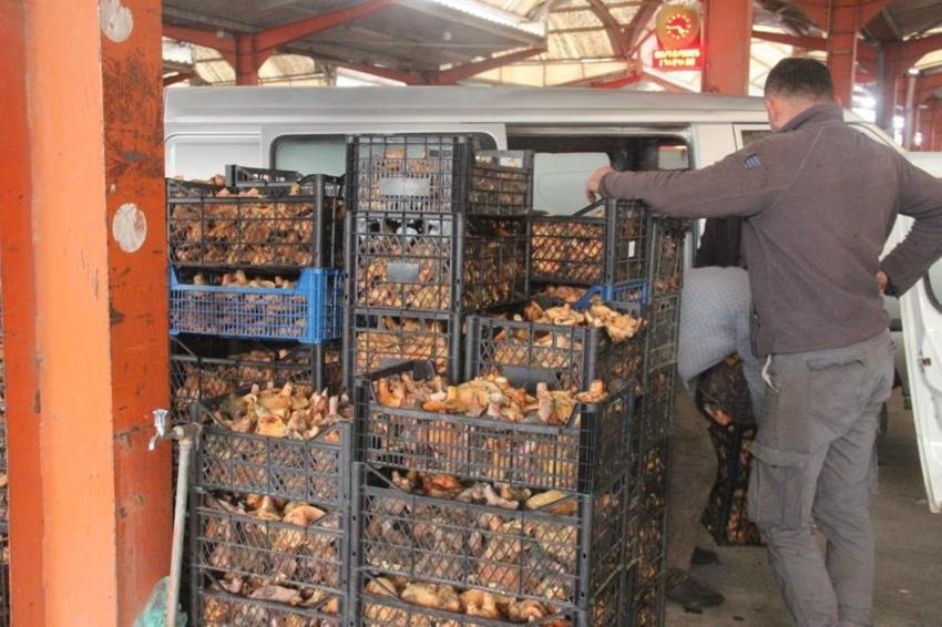 Duyan Kaz Dağları'na akın ediyor! Köylünün geçim kapısı oldu! Kilosu 100 TL'den satılıyor