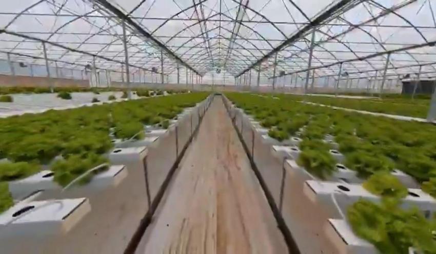 Samsun'da kuruluyor: 1500 kadın iştihamı sağlayacak