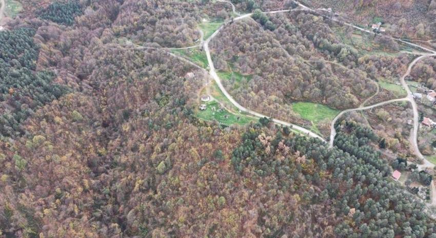 Düzce'nin dağlarında fark edildi: Kısmet deyince ortaya çıktı
