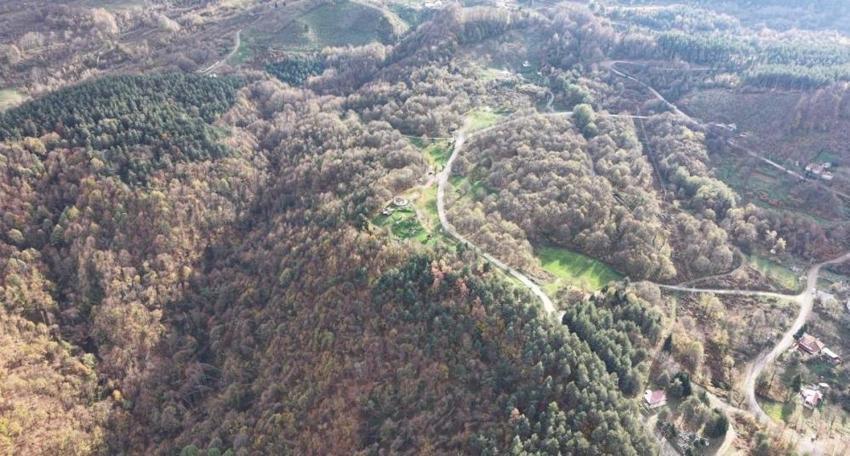 Düzce'nin dağlarında fark edildi: Kısmet deyince ortaya çıktı