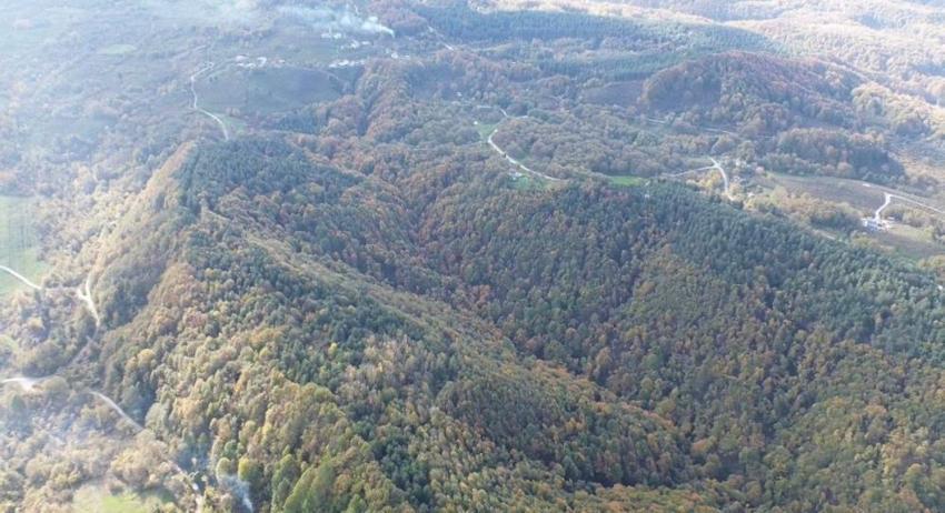 Düzce'nin dağlarında fark edildi: Kısmet deyince ortaya çıktı