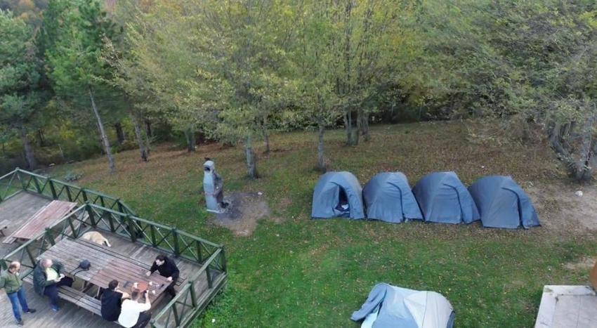 Düzce'nin dağlarında fark edildi: Kısmet deyince ortaya çıktı