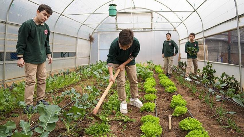 İstanbul'da böyle okul yok! Öğrenciler tavuk besleyip meyve sebze hasat ediyorlar