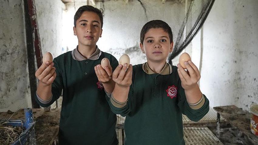 İstanbul'da böyle okul yok! Öğrenciler tavuk besleyip meyve sebze hasat ediyorlar