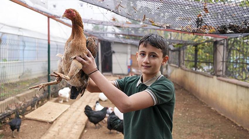 İstanbul'da böyle okul yok! Öğrenciler tavuk besleyip meyve sebze hasat ediyorlar