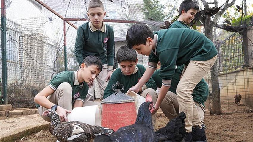 İstanbul'da böyle okul yok! Öğrenciler tavuk besleyip meyve sebze hasat ediyorlar