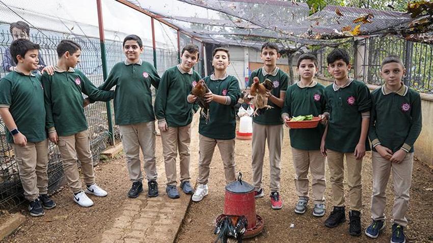 İstanbul'da böyle okul yok! Öğrenciler tavuk besleyip meyve sebze hasat ediyorlar