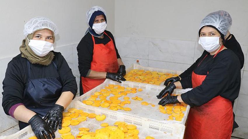 İşsiz kaldı, 145 bin TL hibe ile işe başladı: Adanalı kadın girişimci, 6 yılda tesisini dev üretim merkezine dönüştürdü: 30 kişiye istihdam sağlıyor, Kanada'ya ihraç ediyor
