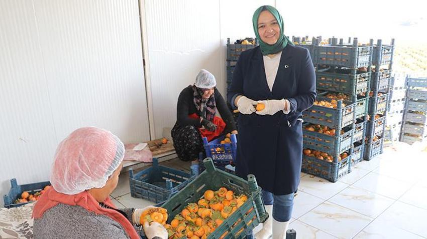 İşsiz kaldı, 145 bin TL hibe ile işe başladı: Adanalı kadın girişimci, 6 yılda tesisini dev üretim merkezine dönüştürdü: 30 kişiye istihdam sağlıyor, Kanada'ya ihraç ediyor