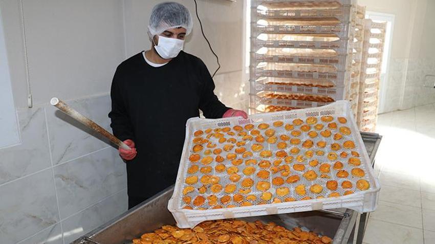 İşsiz kaldı, 145 bin TL hibe ile işe başladı: Adanalı kadın girişimci, 6 yılda tesisini dev üretim merkezine dönüştürdü: 30 kişiye istihdam sağlıyor, Kanada'ya ihraç ediyor
