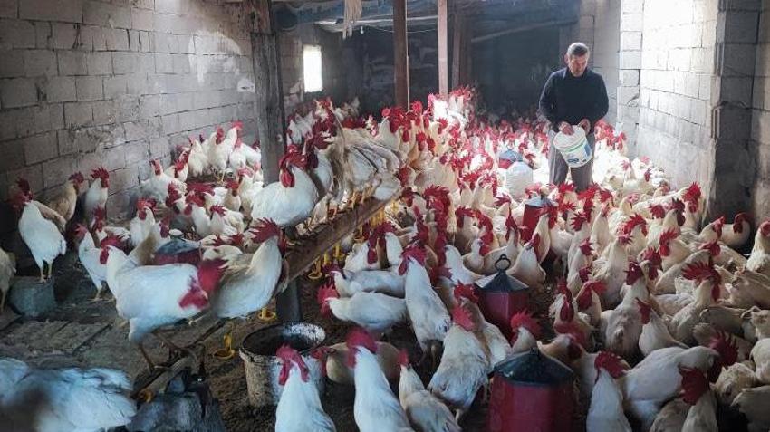 Hobi olarak başladı, 3 yılda kazanca çevirdi! Tanesini 500 liraya satıyor