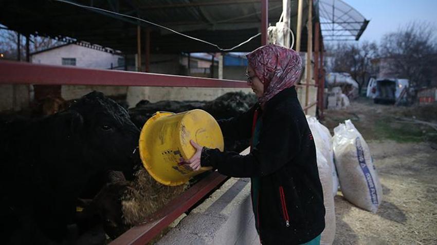Niğde'de devlet desteği alan veteriner hayvancılığa başladı! '5 ayda sayıyı 2 katına çıkarmayı hedefliyoruz'