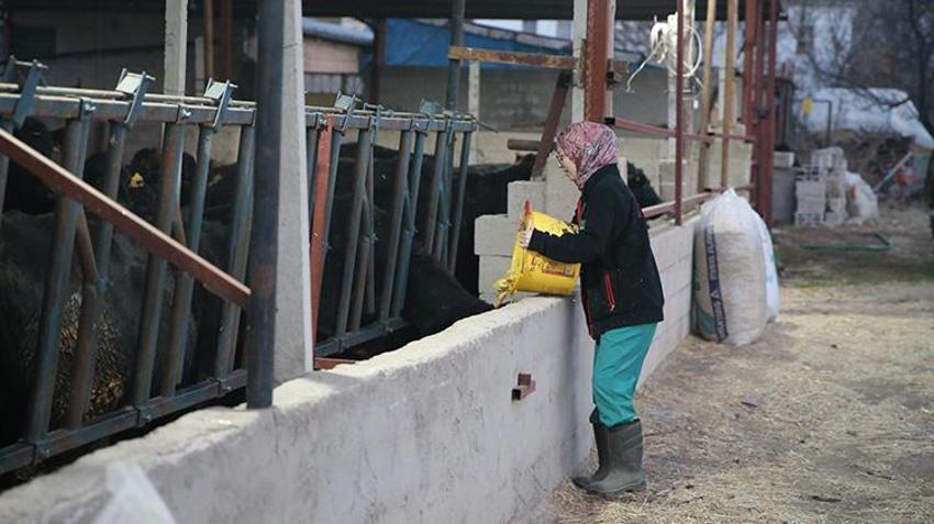 Niğde'de devlet desteği alan veteriner hayvancılığa başladı! '5 ayda sayıyı 2 katına çıkarmayı hedefliyoruz'
