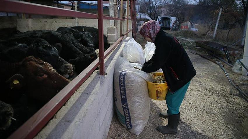 Niğde'de devlet desteği alan veteriner hayvancılığa başladı! '5 ayda sayıyı 2 katına çıkarmayı hedefliyoruz'