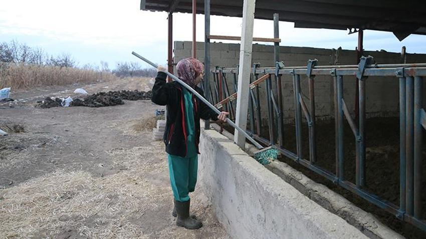 Niğde'de devlet desteği alan veteriner hayvancılığa başladı! '5 ayda sayıyı 2 katına çıkarmayı hedefliyoruz'