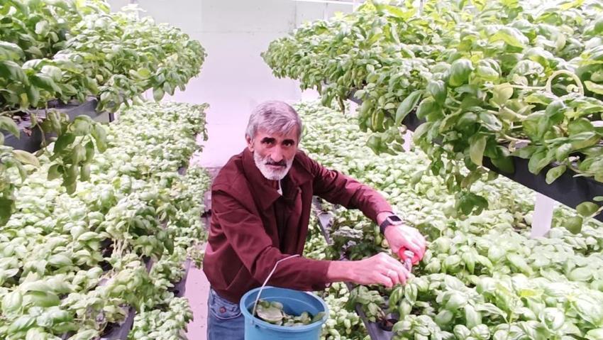 Batman'da 35 günlük fark yarattı: Yeraltında üretiliyor! Bölgede ilk oldu, 6 katı aştı