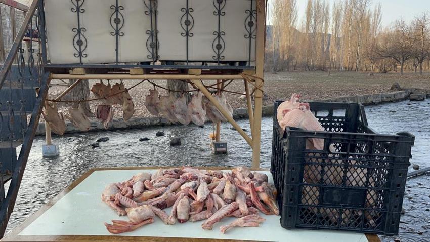 Kars'ın kar altındaki hazinesi: Kilosu 2 bin liradan satılıyor! Kurutma işlemi 30 gün sürüyor