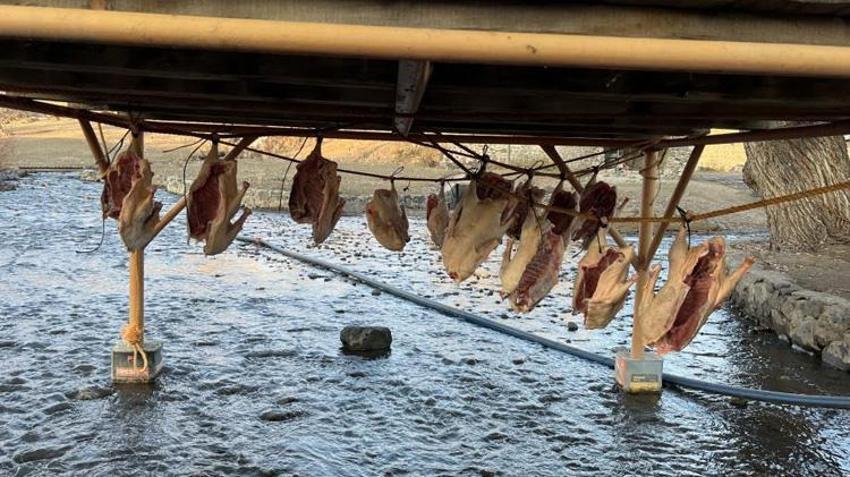 Kars'ın kar altındaki hazinesi: Kilosu 2 bin liradan satılıyor! Kurutma işlemi 30 gün sürüyor