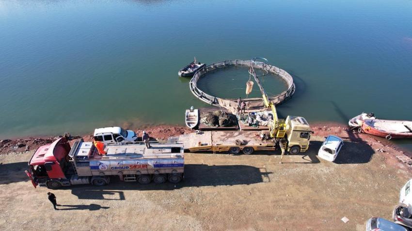 Tokat'tan Sinop'a, oradan da Avrupa ve Uzak Doğu'ya satıyorlar! Üreticinin kazancı kat kat arttı